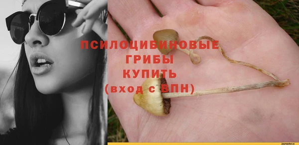 скорость Абаза